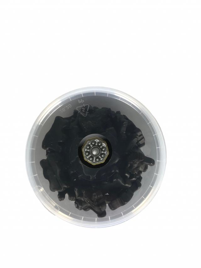 Zeeuwse Leeuwen drop CUPS