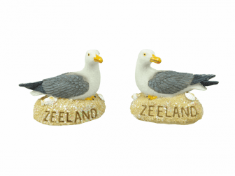 Meeuw op zandplaat ZEELAND (2 stuks)