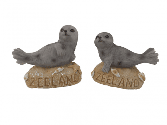 Zeehond op zandplaat ZEELAND assort