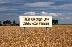 image-thumb