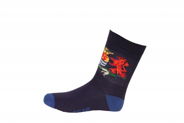 Heren sokken Zeeuws wapen  blauw & blauw gestreept