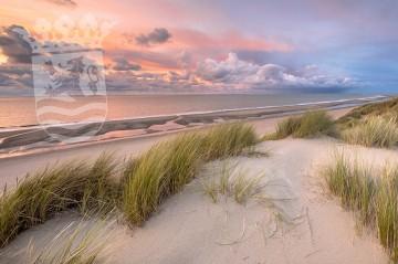 Tuindoek Zeeland strand roze Zeeuws wapen