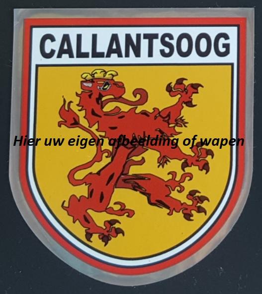 Spiegelglans sticker met uw eigen wapen 67x77mm