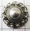 zeeuwse knop rond middelgroot