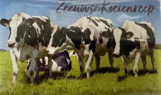 Zeeuwse wikkel chocoladereep  KOEIEN  LANDSCHAP
